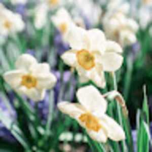 Meet your Posher, Joel and christi